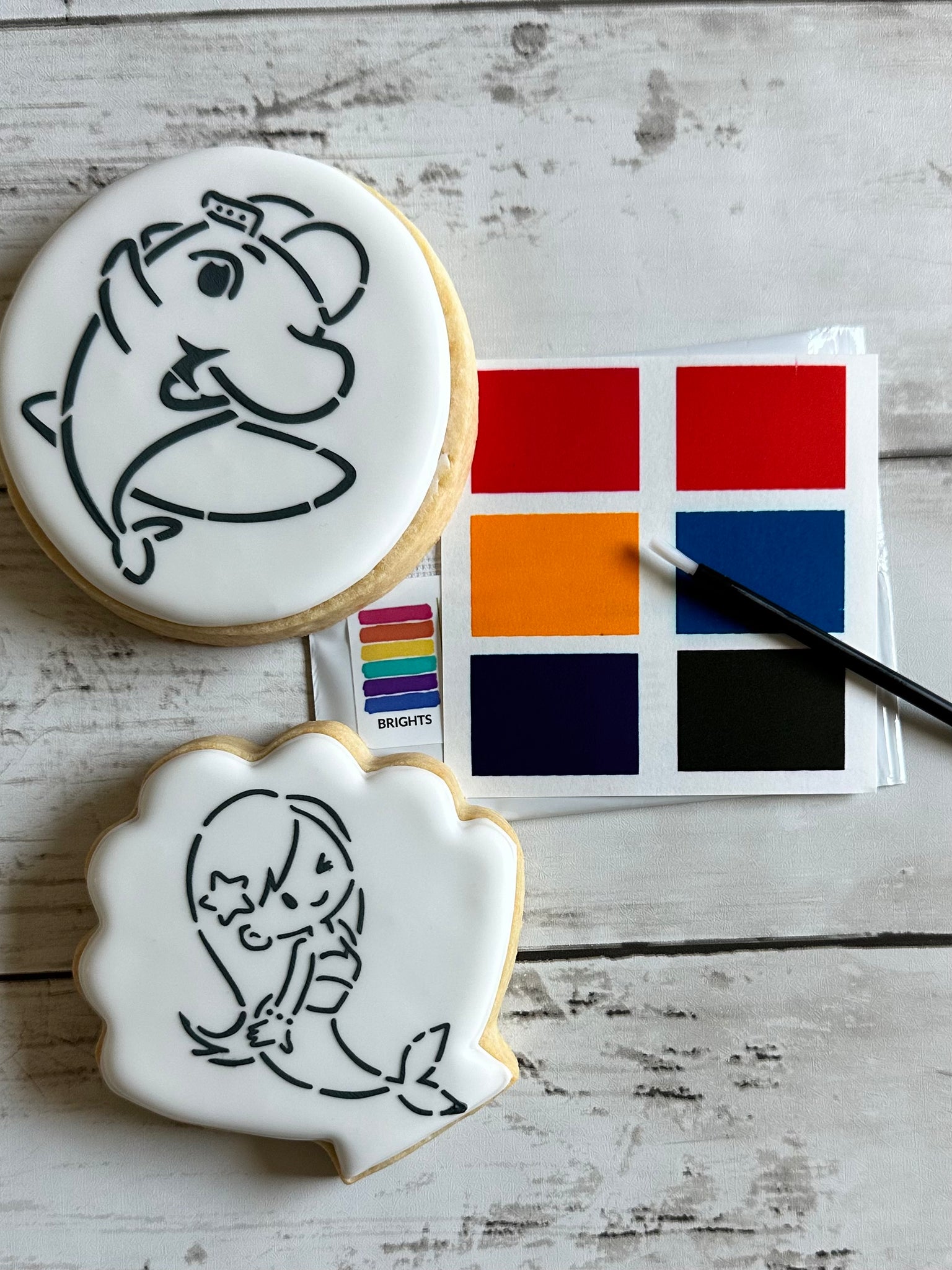 Paint Your Own Cookie